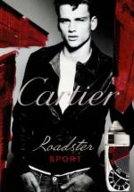 Cartier Roadster Sport Speedometer 